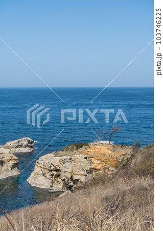 春先の青空と加佐ノ岬の風景|加賀市イメージ|松枯れイメージ|石川県加賀市 春先の青空と加佐ノ岬の風景|加賀市イメージ|松枯れイメージ|石川県加賀市 103746225