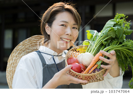 野菜を育てている農家の女性のイメージ クローズアップ 野菜を育てている農家の女性のイメージ クローズアップ 103747064