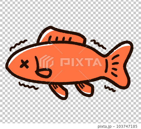 弱っている金魚 和金 弱っている金魚 和金 103747185
