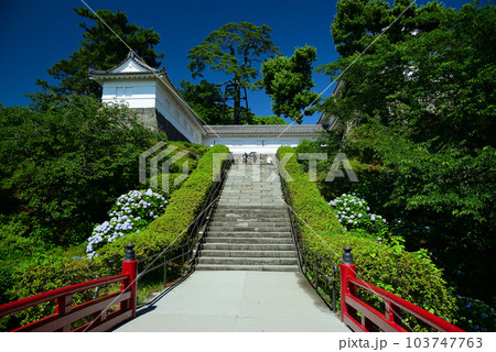 アジサイとハナショウブの名所-小田原城 103747763