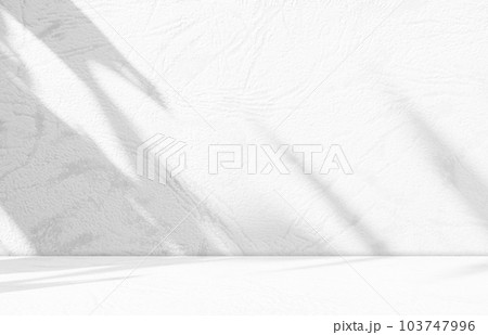 Background Light White Shadow Studio room 3d,Overlay Leaf on Wall Floor from Window,Backdrop Table Product Summer Cosmetic,Stage Podium Mockup Marble Loft blur Cement Kitchen Grey Minimal elegant Bar. 103747996