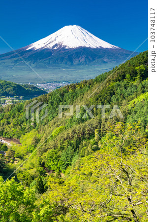 《山梨県》初夏大冠雪の富士山・新緑の山並み 103748117