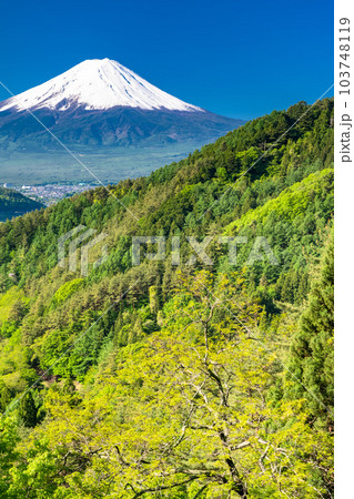 《山梨県》初夏大冠雪の富士山・新緑の山並み 103748119