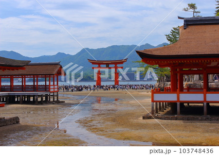 【広島県】　宮島　厳島神社　 103748436