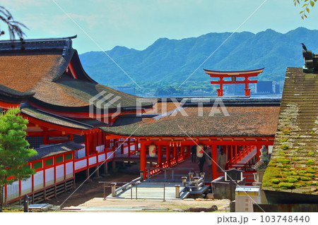 【広島県】 宮島 厳島神社 【広島県】 宮島 厳島神社 103748440