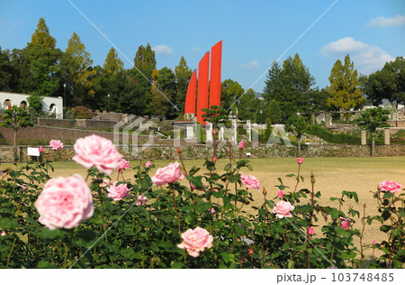 秋バラの咲いている緑地公園(兵庫県伊丹市の荒牧バラ公園) 秋バラの咲いている緑地公園(兵庫県伊丹市の荒牧バラ公園) 103748485