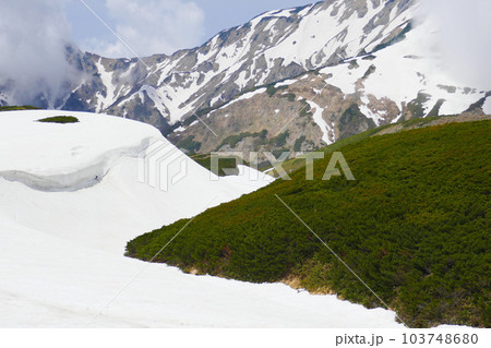 雪解けが始まっている山 103748680