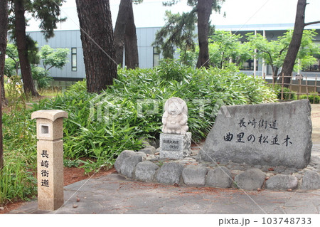 北九州市 黒崎の「曲里の松並木」石碑と狸 【長崎街道】 103748733