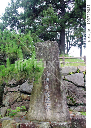 北九州市 黒崎の「曲里の松並木」入口にある石碑 【長崎街道】【縦位置】 北九州市 黒崎の「曲里の松並木」入口にある石碑 【長崎街道】【縦位置】 103749081