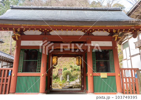 愛宕念仏寺 愛宕念仏寺 103749395