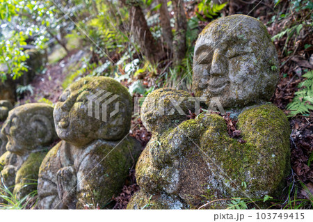 愛宕念仏寺 103749415