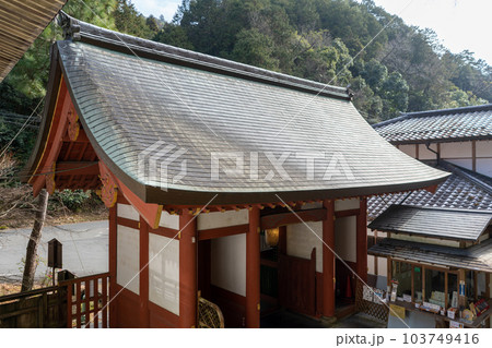 愛宕念仏寺 愛宕念仏寺 103749416