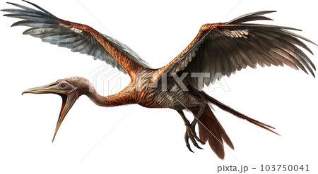 ケツァルコアトルスのイメージ写真6 103750041