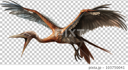 ケツァルコアトルスのイメージ写真6 103750041