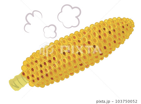 焼きとうもろこしのかわいいイラスト 子ども向け・食育・素材・商用 103750052
