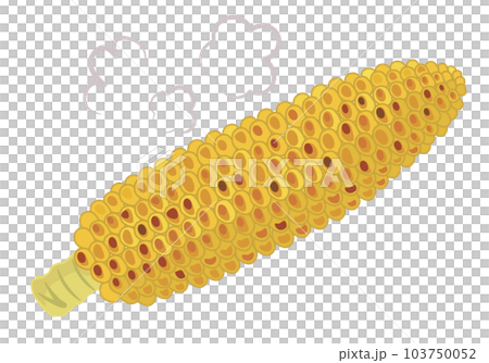 可愛的烤玉米插圖,適用於兒童、食品教育、教材和商業用途。 可愛的烤玉米插圖,適用於兒童、食品教育、教材和商業用途。 103750052