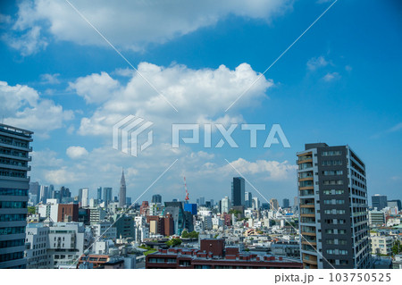【都市風景】 渋谷から見た東京 【都市風景】 渋谷から見た東京 103750525