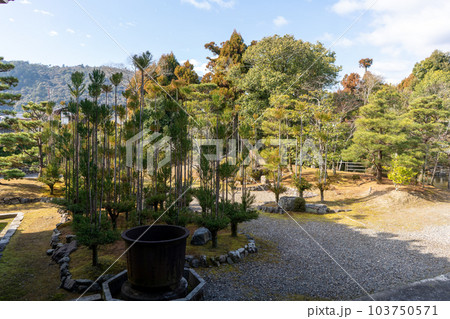 清涼寺 103750571