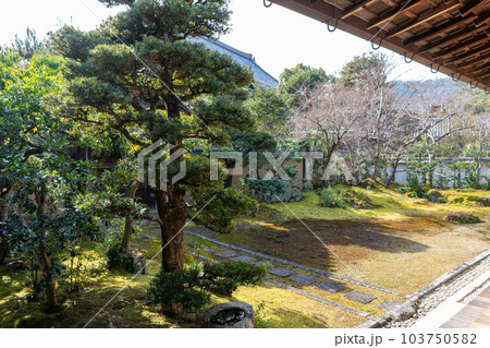 清涼寺 103750582