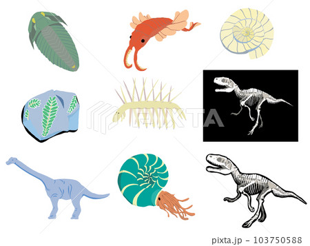 古生物集 103750588
