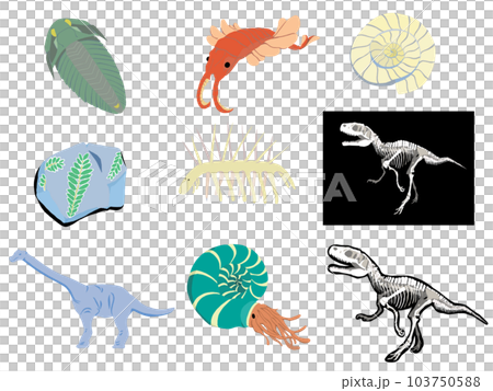 古生物學收藏 103750588