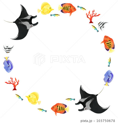 マンタと熱帯魚のカラフルな装飾素材 103750678
