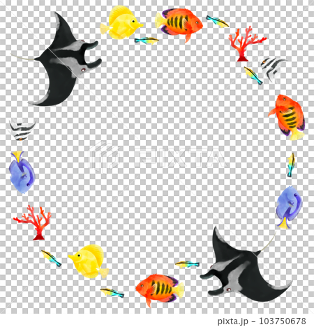 マンタと熱帯魚のカラフルな装飾素材 103750678