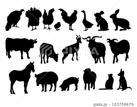 Collection silhouettes domestic farm animals and poultry birds. Vector illustration. Isolated hand drawings animals on white background for design Collection silhouettes domestic farm animals and poultry birds. Vector illustration. Isolated hand drawings animals on white background for design 103750679