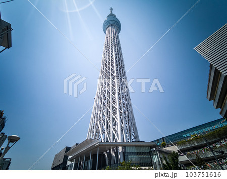 5月の東京スカイツリー 5月の東京スカイツリー 103751616