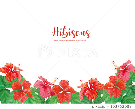 水彩で描いたハイビスカスの背景素材セット 103752088