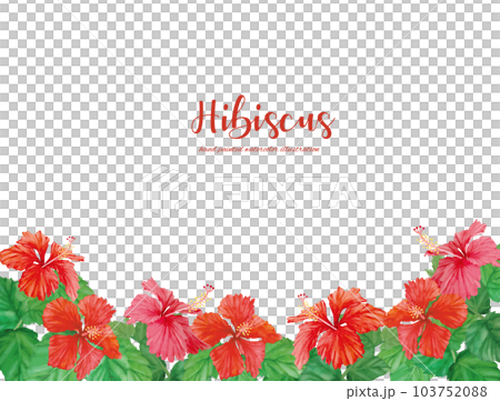 水彩で描いたハイビスカスの背景素材セット 103752088