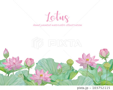 水彩手書きの蓮の花と葉の素材 水彩手書きの蓮の花と葉の素材 103752115
