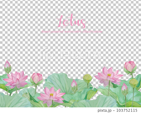 水彩手書きの蓮の花と葉の素材 水彩手書きの蓮の花と葉の素材 103752115