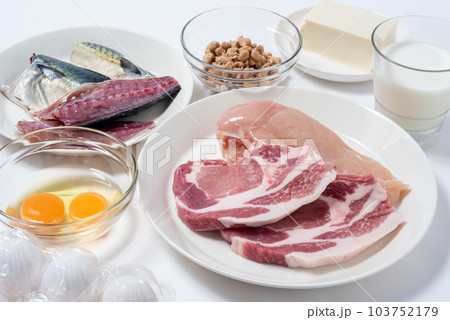 タンパク質の多い食材 103752179