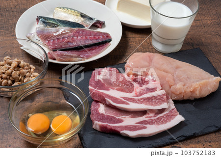 タンパク質の多い食材 タンパク質の多い食材 103752183