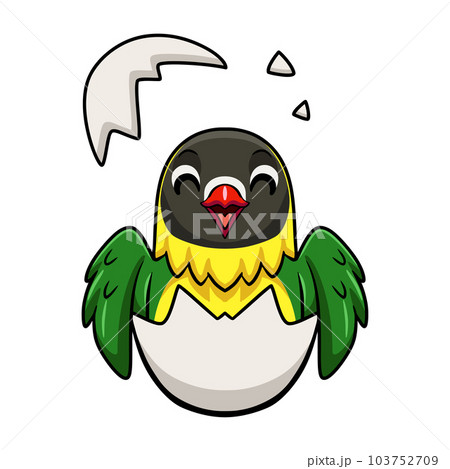 Cute yellow collared love bird cartoon inside from egg Cute yellow collared love bird cartoon inside from egg 103752709