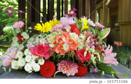色鮮やかな花手水 色鮮やかな花手水 103753166