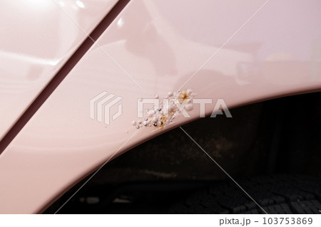 自動車の錆浮き タイヤハウス上リアフェンダーの錆浮き 自動車の錆浮き タイヤハウス上リアフェンダーの錆浮き 103753869