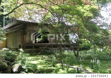 駒ケ根市光前寺本坊脇の客殿 駒ケ根市光前寺本坊脇の客殿 103756041