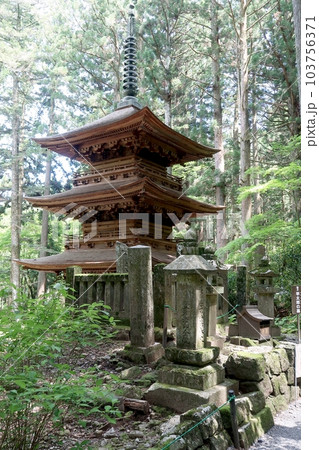 駒ケ根市光前寺三重塔 103756371