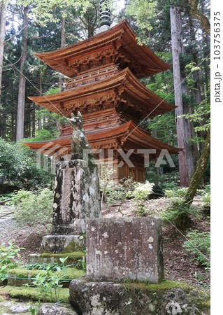 駒ケ根市光前寺三重塔と早太郎 103756375