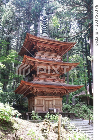 駒ケ根市光前寺三重塔 103756376
