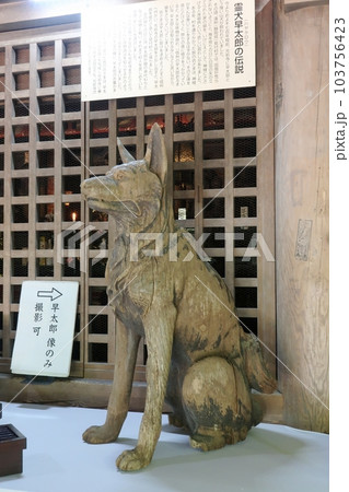 駒ケ根市光前寺の霊犬早太郎像 103756423
