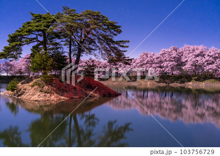 《長野県》月明かりの夜桜・六道の堤の桜 103756729