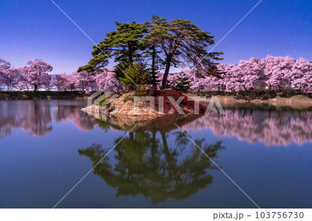 《長野県》月明かりの夜桜・六道の堤の桜 《長野県》月明かりの夜桜・六道の堤の桜 103756730