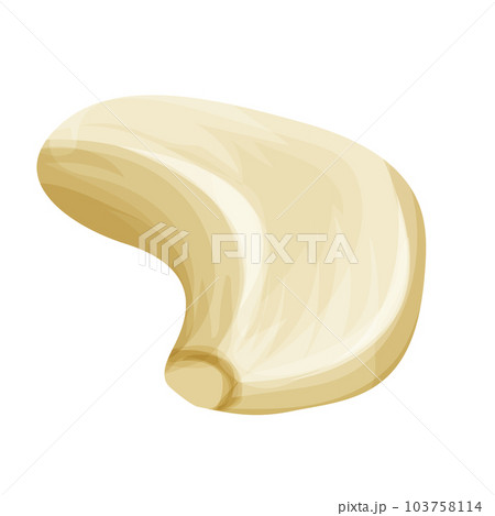 Garlic raw bulb, clove ingredient in cartoon style isplated on white background. 103758114