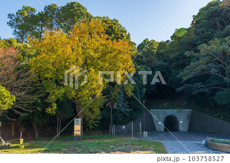 紅葉に映える御立岬公園海水浴場出入口風景 (熊本県芦北郡芦北町・田浦町) 紅葉に映える御立岬公園海水浴場出入口風景 (熊本県芦北郡芦北町・田浦町) 103758527
