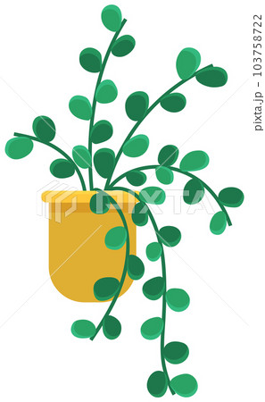 Decorative green plant with long leaves in ceramic pot, pot with houseplant. Home interior plant Decorative green plant with long leaves in ceramic pot, pot with houseplant. Home interior plant 103758722