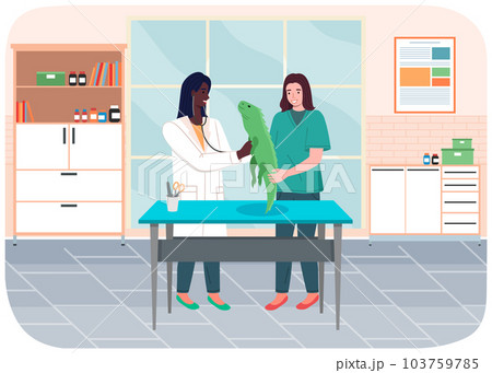 Doctor women with iguana in medical office. Veterinarian female character holding big green lizard Doctor women with iguana in medical office. Veterinarian female character holding big green lizard 103759785