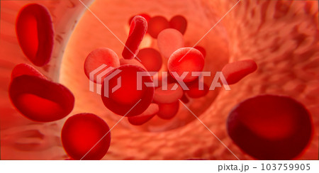 Blood cells in vein. Red blood cells circulating in blood vessels. medical health care. Vascular therapy. 3d illustration 103759905